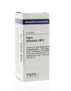 Sepia officinalis LM12Artikel 4 enkelvoudig8728300946881