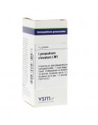 Lycopodium clavatum LM1Artikel 4 enkelvoudig8728300935298