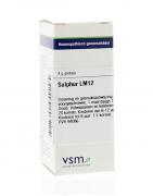 Sulphur LM12Artikel 4 enkelvoudig8728300949295