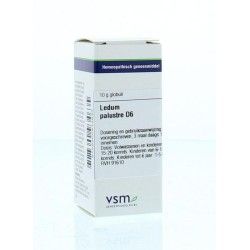 Hypericum perforatum LM6Artikel 4 enkelvoudig8717473041462