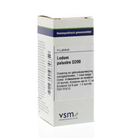 Ledum palustre D200Artikel 4 enkelvoudig8728300934659