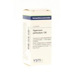 Hypericum perforatum D12Artikel 4 enkelvoudig8717473041011