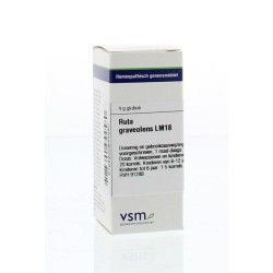 Ledum palustre LM30Artikel 4 enkelvoudig8717473049345