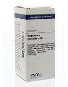 Magnesium muriaticum D6Artikel 4 enkelvoudig8728300936073