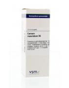 Conium maculatum D6Artikel 4 enkelvoudig8728300921697