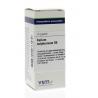 Kalium sulphuricum D6Artikel 4 enkelvoudig8728300933539