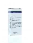 Kalium sulphuricum D12Artikel 4 enkelvoudig8728300933546