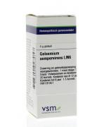 Gelsemium sempervirens LM6Artikel 4 enkelvoudig8728300927057