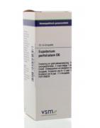 Eupatorium perfoliatum D6Artikel 4 enkelvoudig8728300925046