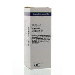 Baptisia tinctoria LM30Artikel 4 enkelvoudig8717473013414