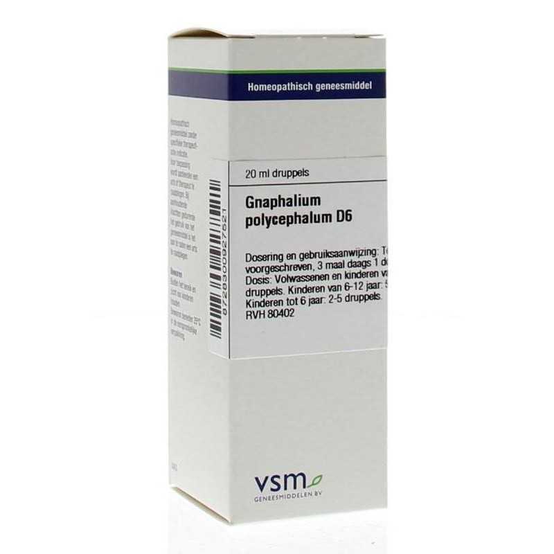 Gnaphalium polycephal D6Artikel 4 enkelvoudig8728300927521