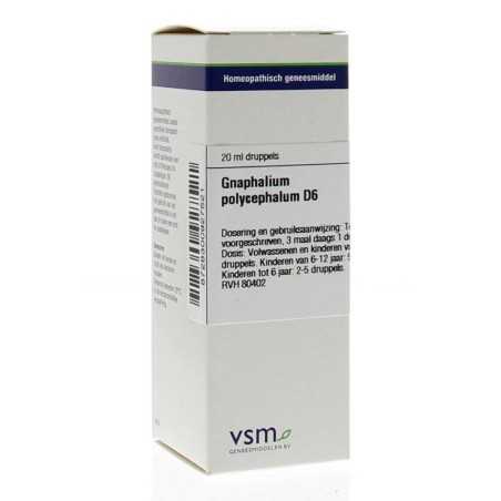 Gnaphalium polycephal D6Artikel 4 enkelvoudig8728300927521