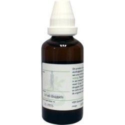 Lupulus humulus D12Artikel 4 enkelvoudig8717473112841