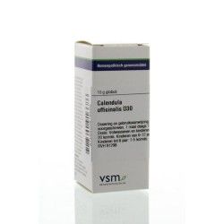 Solidago virgaurea D6Artikel 4 enkelvoudig8728300947444