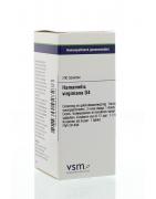 Hamamelis virginiana D4Artikel 4 enkelvoudig8728300928276