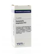 Hamamelis virginiana D12Artikel 4 enkelvoudig8728300928313