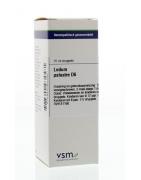 Ledum palustre D6Artikel 4 enkelvoudig8728300934581