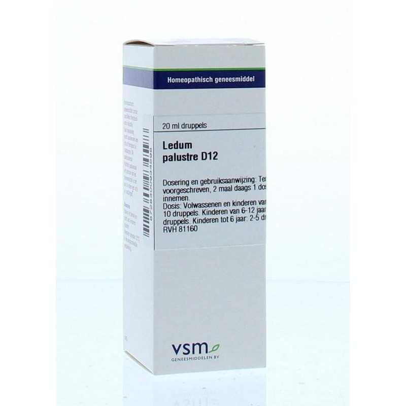 Ledum palustre D12Artikel 4 enkelvoudig8728300934598