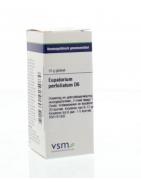 Eupatorium perfoliatum D6Artikel 4 enkelvoudig8728300925084