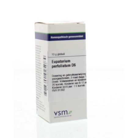 Eupatorium perfoliatum D6Artikel 4 enkelvoudig8728300925084