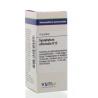 Symphytum officinale D12Artikel 4 enkelvoudig8728300950024