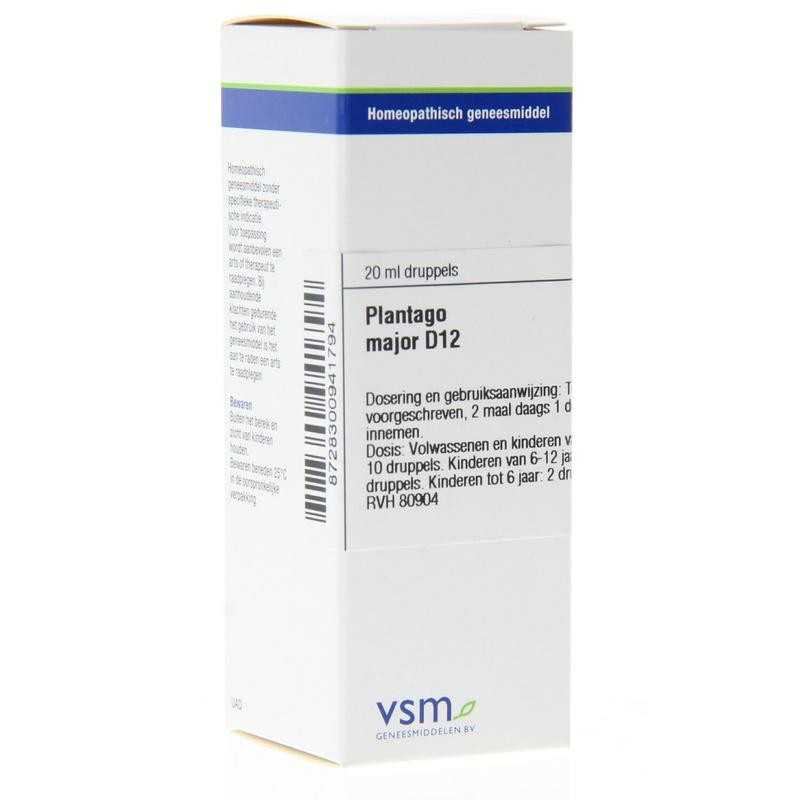 Plantago major D12Artikel 4 enkelvoudig8728300941794