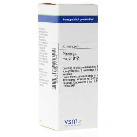 Plantago major D12Artikel 4 enkelvoudig8728300941794