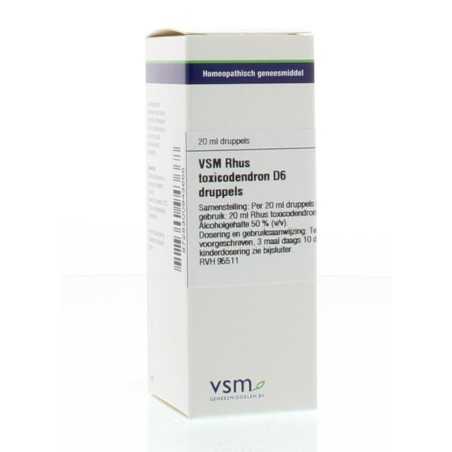 Rhus toxicodendron D6Artikel 4 enkelvoudig8728300943668