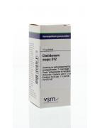 Chelidonium majus D12Artikel 4 enkelvoudig8728300918963