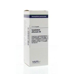 Veronica officinalis 10MKArtikel 4 enkelvoudig8717473075320