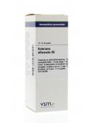 Valeriana officinalis D6Artikel 4 enkelvoudig8728300952110