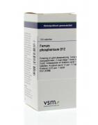 Ferrum phosphoricum D12Artikel 4 enkelvoudig8728300925916