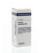 Conium maculatum D4Artikel 4 enkelvoudig8728300921727