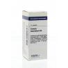 Conium maculatum D4Artikel 4 enkelvoudig8728300921727