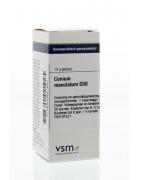 Conium maculatum D30Artikel 4 enkelvoudig8728300921925