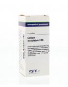 Conium maculatum LM6Artikel 4 enkelvoudig8728300921840