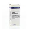 Conium maculatum LM6Artikel 4 enkelvoudig8728300921840