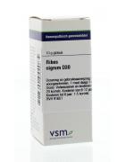 Ribes nigrum D30Artikel 4 enkelvoudig8728300944085