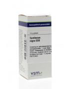 Sambucus nigra D30Artikel 4 enkelvoudig8728300945631