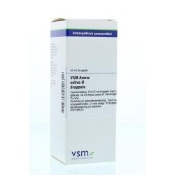 Hypericum perforatum D4Artikel 4 enkelvoudig8717473041134