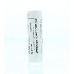 Arnica montana D30Artikel 4 enkelvoudig8728300910943