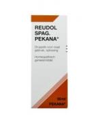 Reudol spag (apo rheum)Artikel 6 complex8717185283020