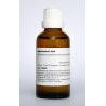 Hypericum perforatum D6Artikel 4 enkelvoudig8717473041196