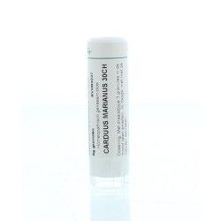 Arsenicum iodatum D12Artikel 4 enkelvoudig8717473011373