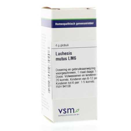 Lachesis mutus LM6Artikel 4 enkelvoudig8728300934406