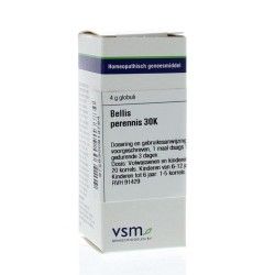 Lycopodium clavatum LM1Artikel 4 enkelvoudig8728300935298