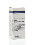 Rhus toxicodendron 200KArtikel 4 enkelvoudig8728300943958