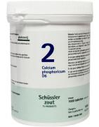 Calcium phosphoricum 2 D6 SchusslerSchusslerzouten8713286017588