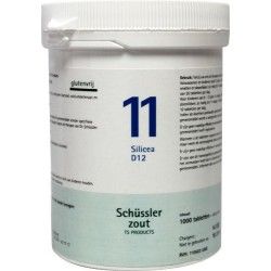 Calcium sulfuricum 12 D6 SchusslerSchusslerzouten8713286017687