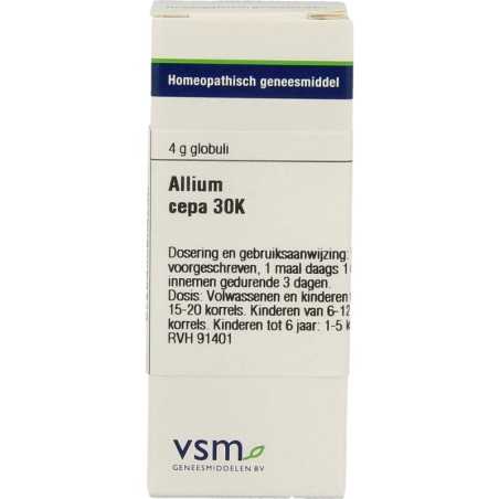 Allium cepa 30KArtikel 4 enkelvoudig8728300908230